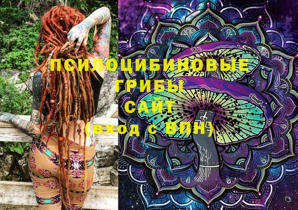 бошки Горняк