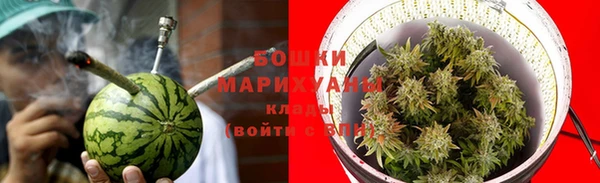 тгк Горно-Алтайск