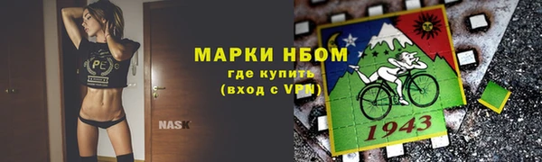 бошки Горняк
