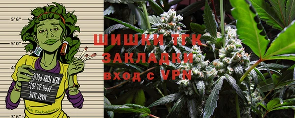 тгк Горно-Алтайск