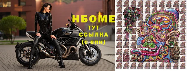 бошки Горняк