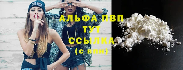 тгк Горно-Алтайск