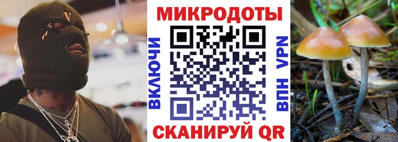 Галлюциногенные грибы Psilocybe  купить  цена  Гусиноозёрск 