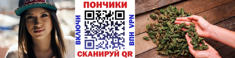 Бошки марихуана планчик Гусиноозёрск